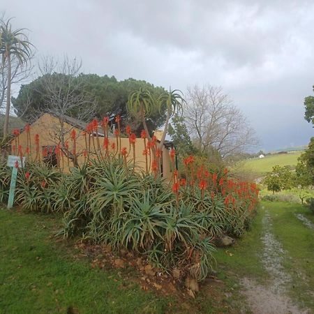 Swaynekloof Farm Villa Ботривиър Екстериор снимка