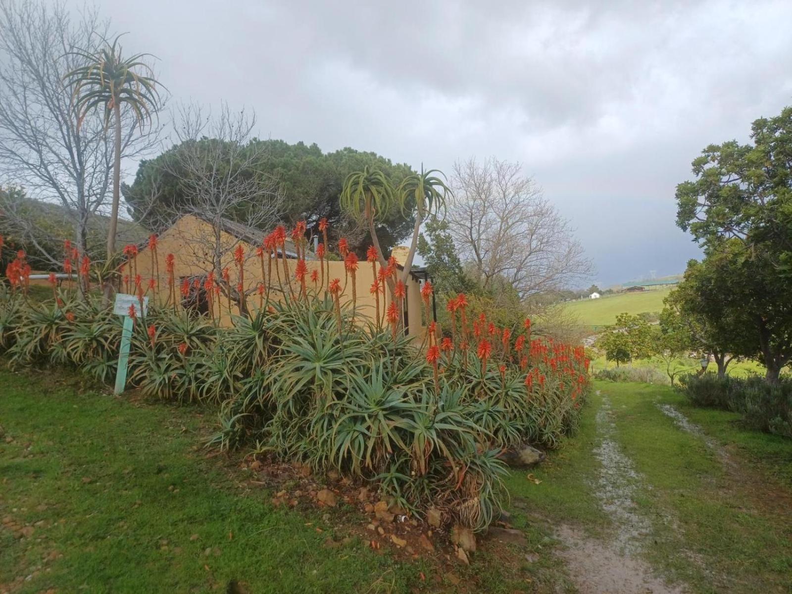Swaynekloof Farm Villa Ботривиър Екстериор снимка